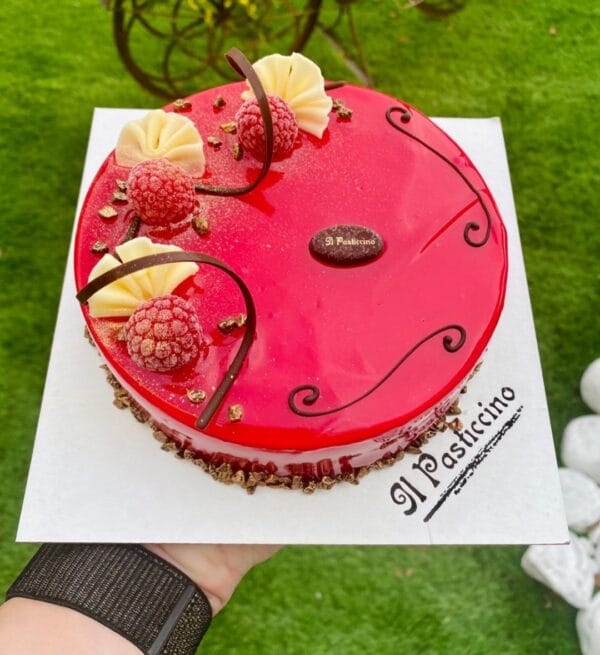 Semifreddo Cioccolato bianco e lampone