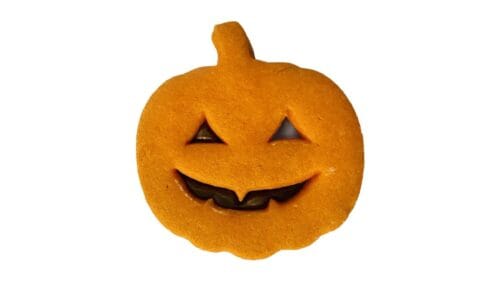 376b24c1-15cc-464d-91c6-385882b88733 Biscotto zucca con Nutella