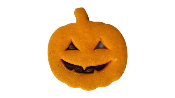 Biscotto zucca con Nutella