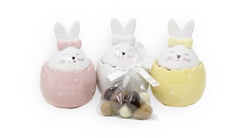 Contenitore uovo coniglietto e fiocco con ovetti